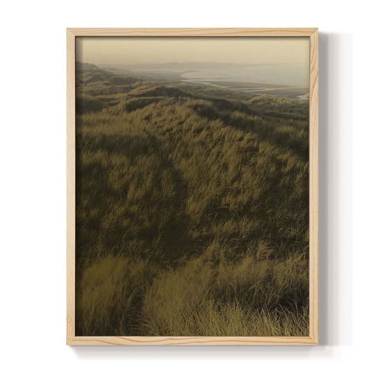 «Golden Fog II», H 15 po x l 12 po