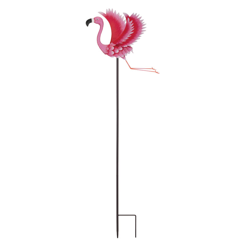 Piquet d'oiseau, Flamant rose