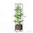 Raised Garden Bed with Trellis and Self-Watering System, Ideal for Vertical Gardening and Easy Mobility-495538079