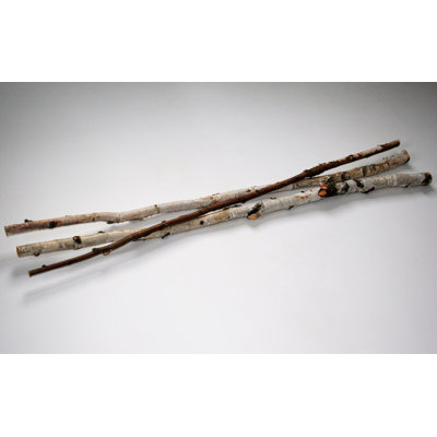 Wilson Preserved Birch Branch Pack (Set of 3)