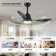 42" Smart Ceiling Fan With Lights Remote,Silent DC Motor,Voice Control Via Alexa Google WIFI Phone,6-Speed,Outdoor Indoor Modern  Ceiling Fans For Living Room Bedroom Patio