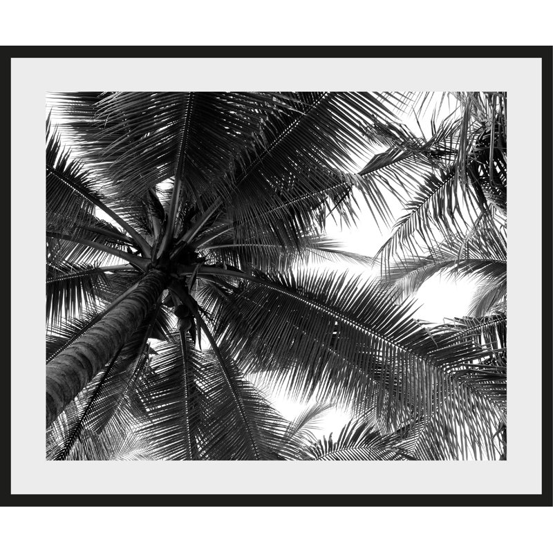 Palm - Single Picture Frame Print