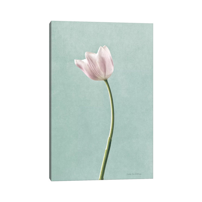 Light Tulips I Harbor Grey 1 Piece Wrapped Canvas Painting, 66.04 cm H x 45.72 cm W x 1.91 cm D
