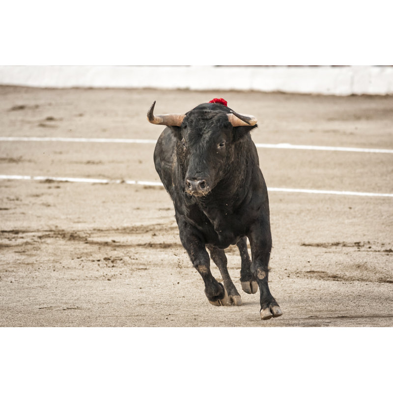 Bull About 650Kg Galloping In The Sand by Digicomphoto - Wrapped Canvas Print, 20.32cm H x 30.48cm W