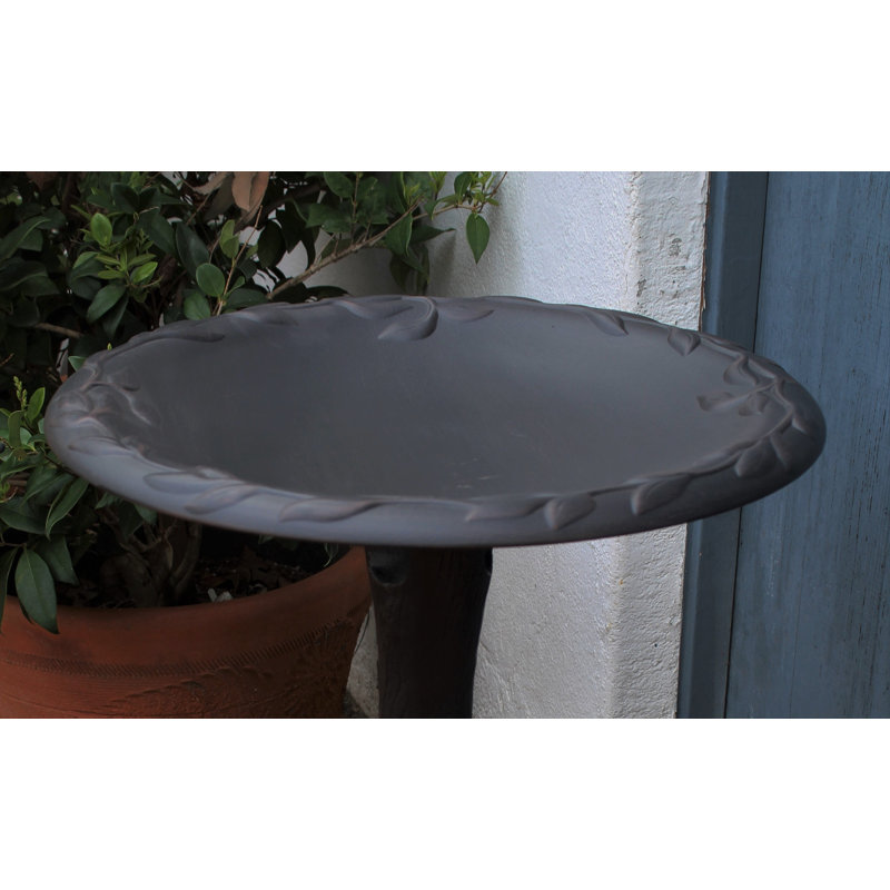 Bain d'oiseaux classique
