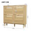 Shoe Storage Cabinet
