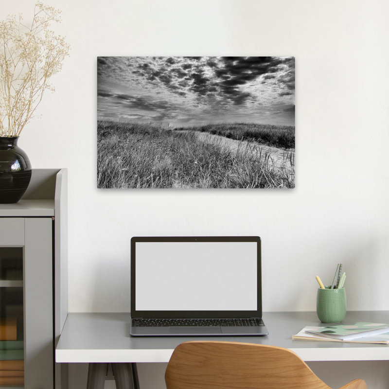 Dunes de Nantucket, paysage côtier noir et blanc, plage, Beache, H 24 po x l 16 po