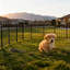 Fence Panels Fencing-132212721-132212720