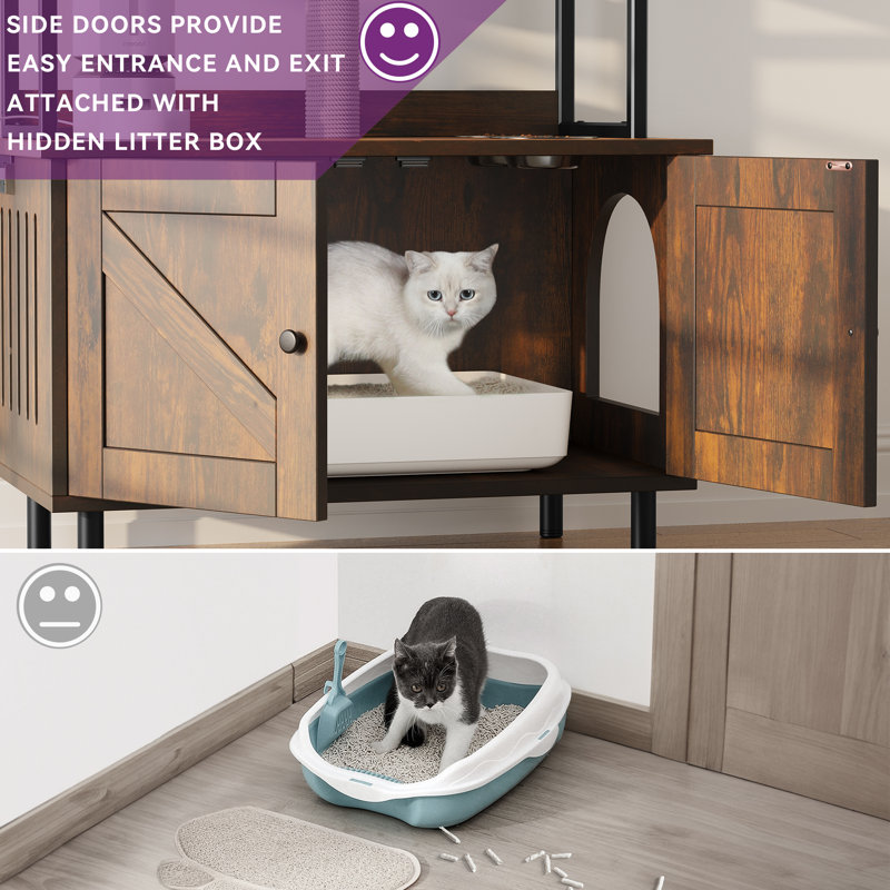 Get Everything You Need