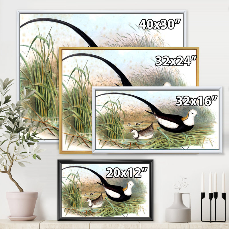 Rétro animaux de campagne VII - peinture sur toile, H 30 po x l 40 po x 1,5 po, Cadre flottant doré