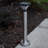 Luxor Stainless Steel Bollard Solar Light
