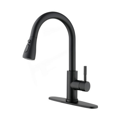 Kitchen Faucet With Pull Out Spraye