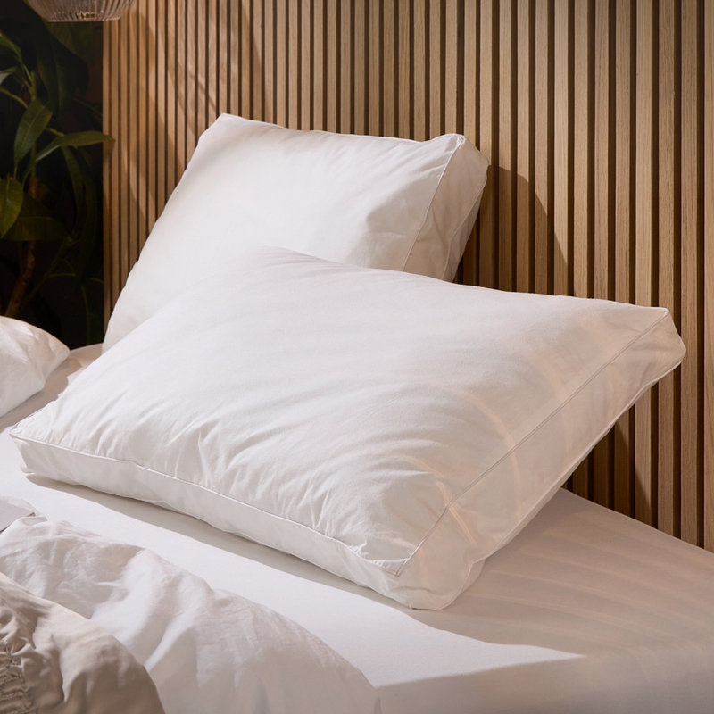 Luxurious Hotel Snuggledown Back Sleeper Medium Support Cotton Cover Pillow