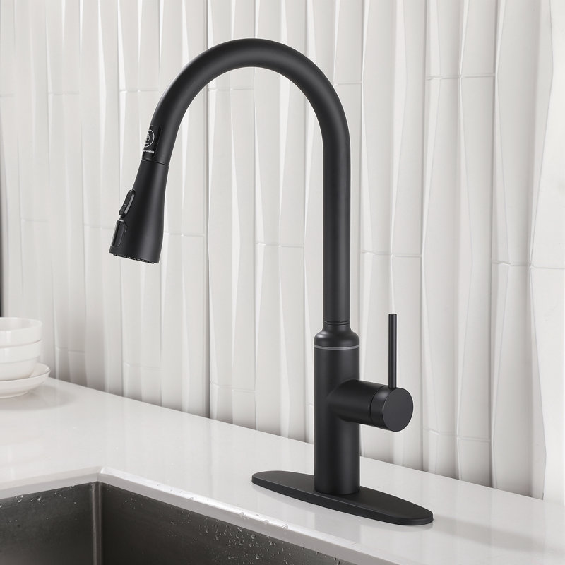 Robinet de cuisine à poignée simple 19,69 po 304, Noir mat
