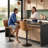 Halima Swivel Adjustable Height Counter Stool with Metal Frame-795950624-754172025