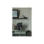 Nikki Solid Wood Writing Desk-20661279
