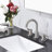 NO 2-handle Bathroom Faucet with Drain Assembly