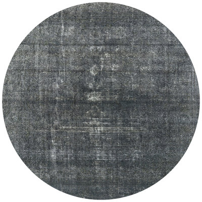 Oriental Indoor Rug