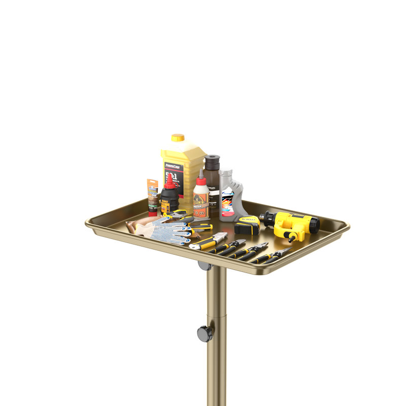 Chariot utilitaire pour chariot à tatouer Rolling Salon Tray