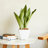 2-Pack Smart Self-Watering Planter Pot For Indoor And Outdoor-1104905437