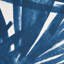 Sunlit Palm Wallpaper-50801156