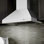 48" Professional 700 CFM Ducted Wall Mount Range Hood in Stainless Steel