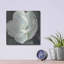 «Magnolia III Sage» par Carol Rowan-1295411348