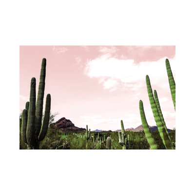 " Cactus Landscape Under Pink Sky "