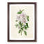 Illustration of Pink Azaleas - Picture Frame Painting Print-55579764-55579765
