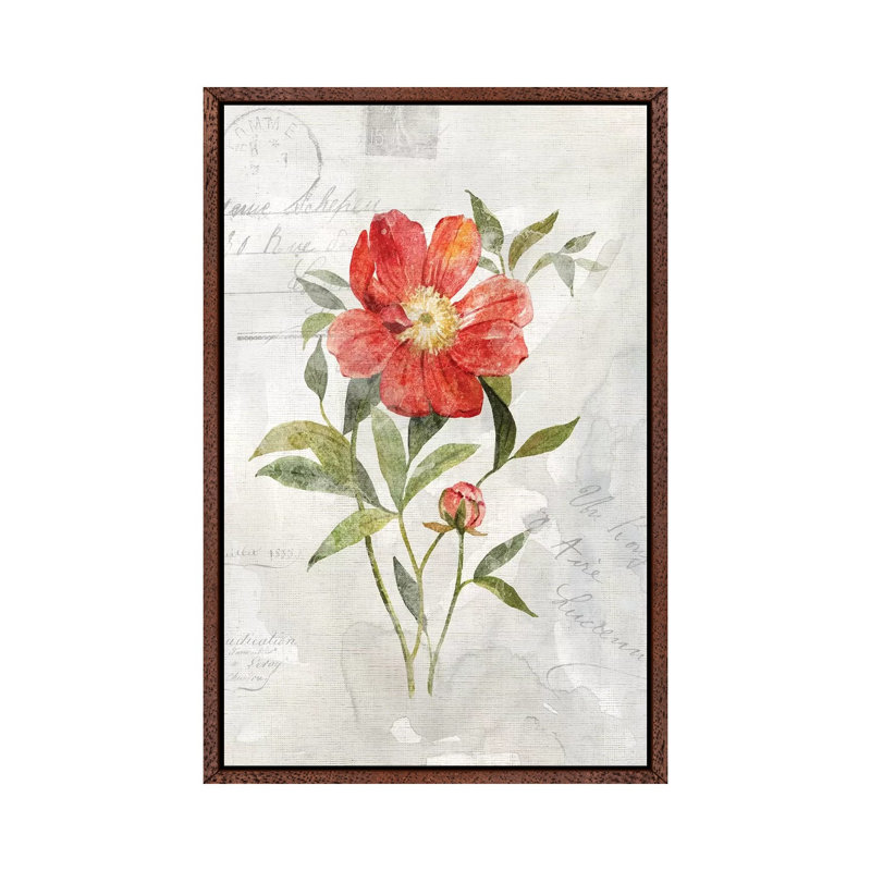 Linen Peony by Carol Robinson - Print on Canvas, Classic Brown Wood Framed, 152.5 cm H x 101.5 cm W
