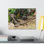 «Basilisk H chasse», art mural