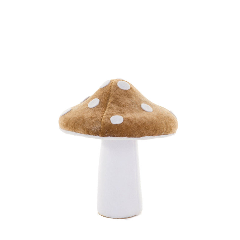 Blanc champignon velouté, Brun / blanc