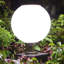 Tête de lanterne solaire solaire Totterdown