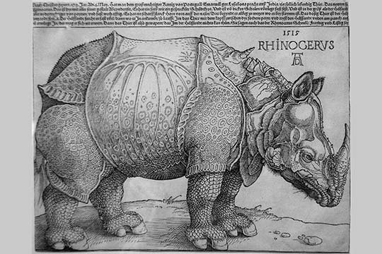 « rhinoceros » par albrecht durer, reproduction d’art, H 28 po x l 42 po x P 1,5 po