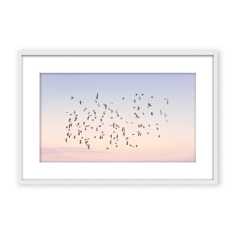 Nature Inspired Sunset Flight by  - Picture Frame Photograph on Paper, 24" H x 36" W x 2.375" D, Framed Canvas, Gold