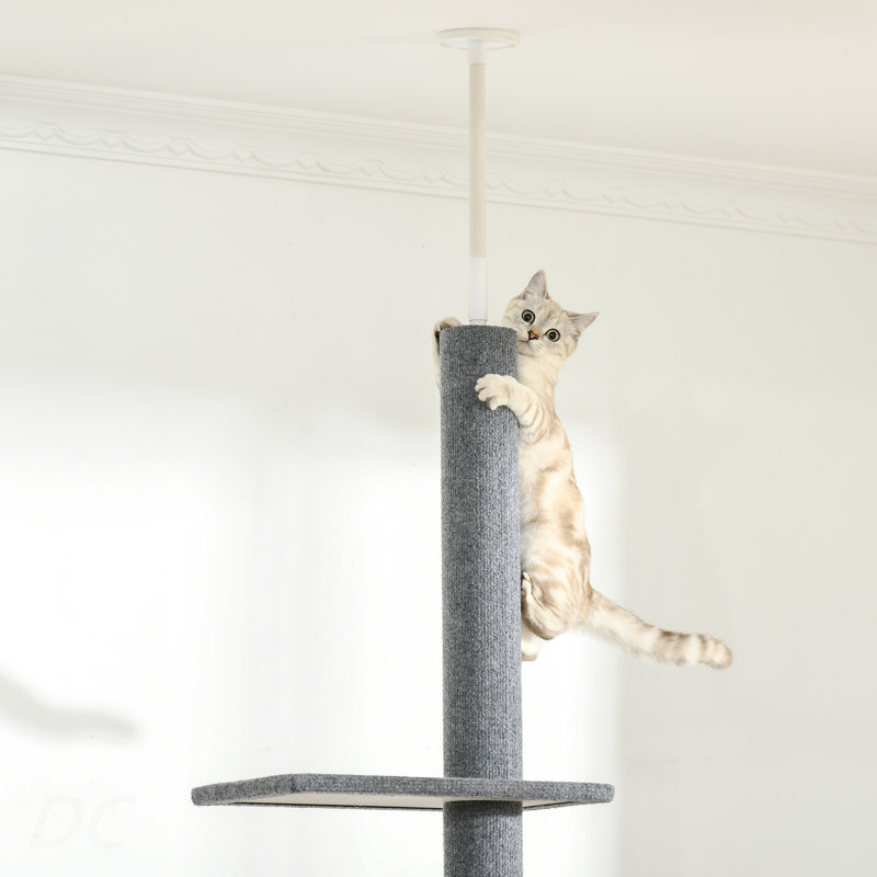 Tour pour chat PawHut