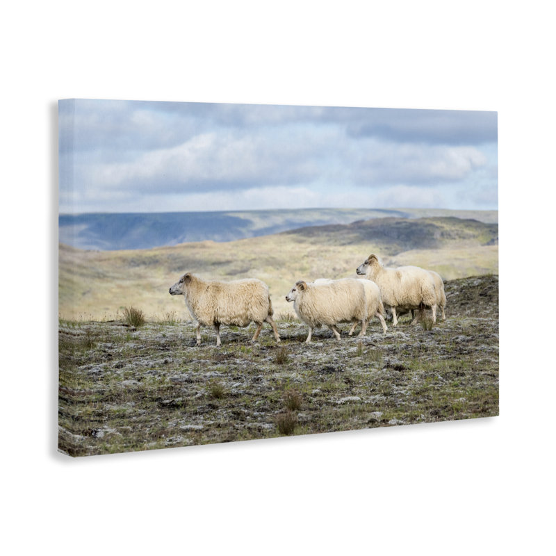 «Three Friends Sheep in Nature Canvas», conception par D. Burt, H 16 po x l 24 po