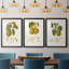 Vintage Pears IV, reproduction encadrée de qualité supérieure - prête à être accrochée-69879043-69879038