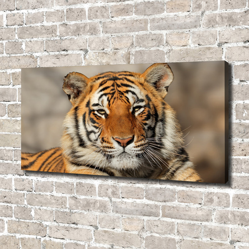 Bengal Tiger - Wrapped Canvas Print
