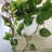 Artificial Plant Hanging Pothos 22"
