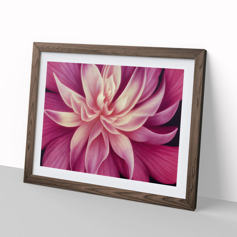 XH1022-7650X Seductive Carnation Flower 1 Piece Single Picture Frame Painting, 25cm H x 34cm W x 2cm D, Walnut