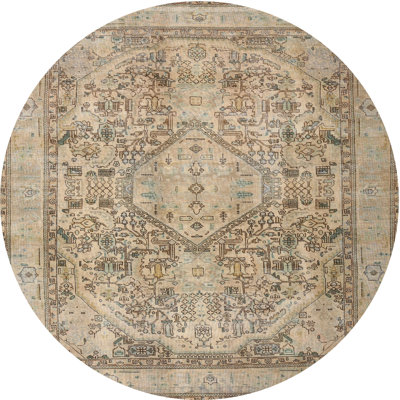 Markhi Oriental Indoor Rug