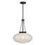 Luminaire suspendu 1 lumière Willow en noir mat-1486354984