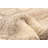 Timeless Tan Rug 5'0" x 7'11"