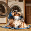  Tapis lavable Yorkshire Terrier Dogs-1317306595
