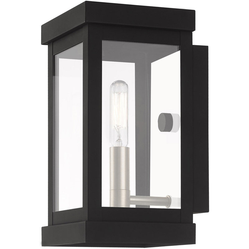 Tête de lanterne Clarissia, Noir