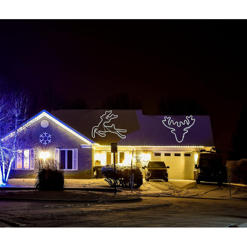 LED Indoor / Outdoor Rope Light, Cool White