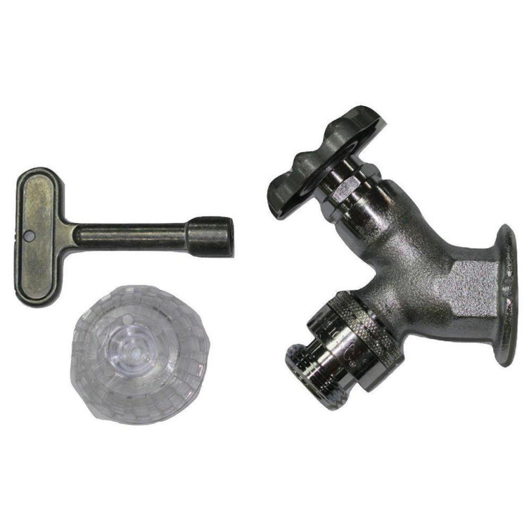 Proflo PFWFDRC 1/2" FPT INL NF Area Wall Faucet Rough Chrome