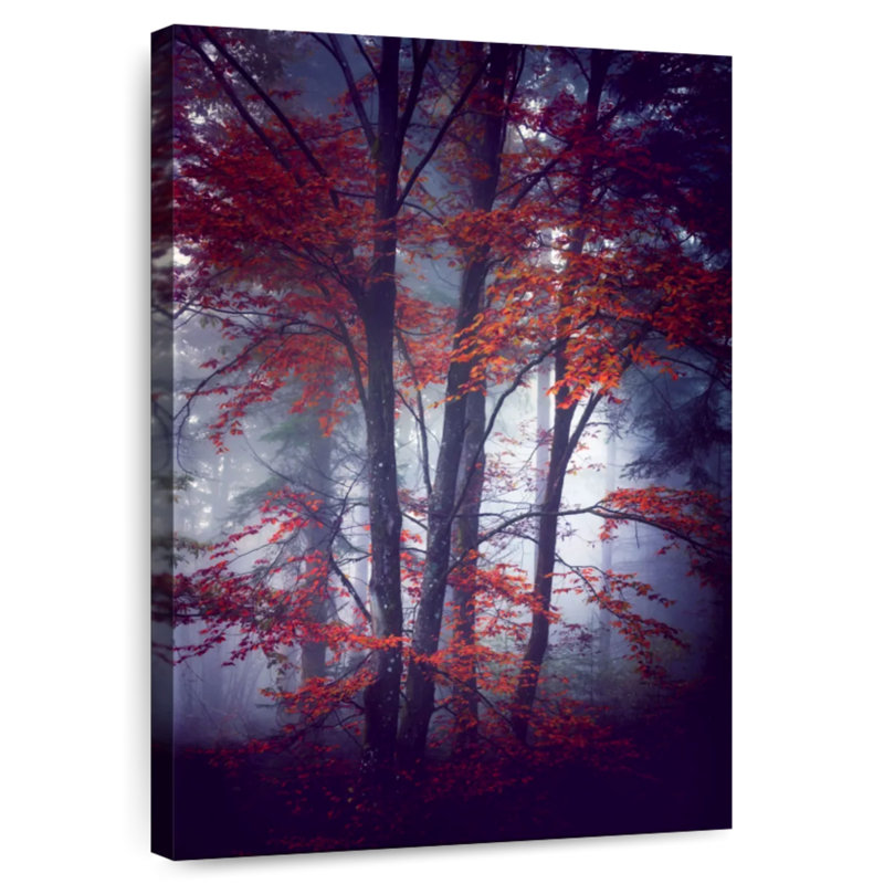 Harnek Misty Autumn Forest, H 48 po x l 32 po