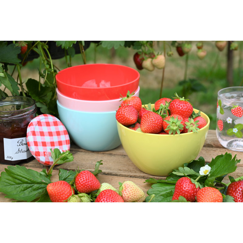 Strawberries & Cream Picnic Bowls set